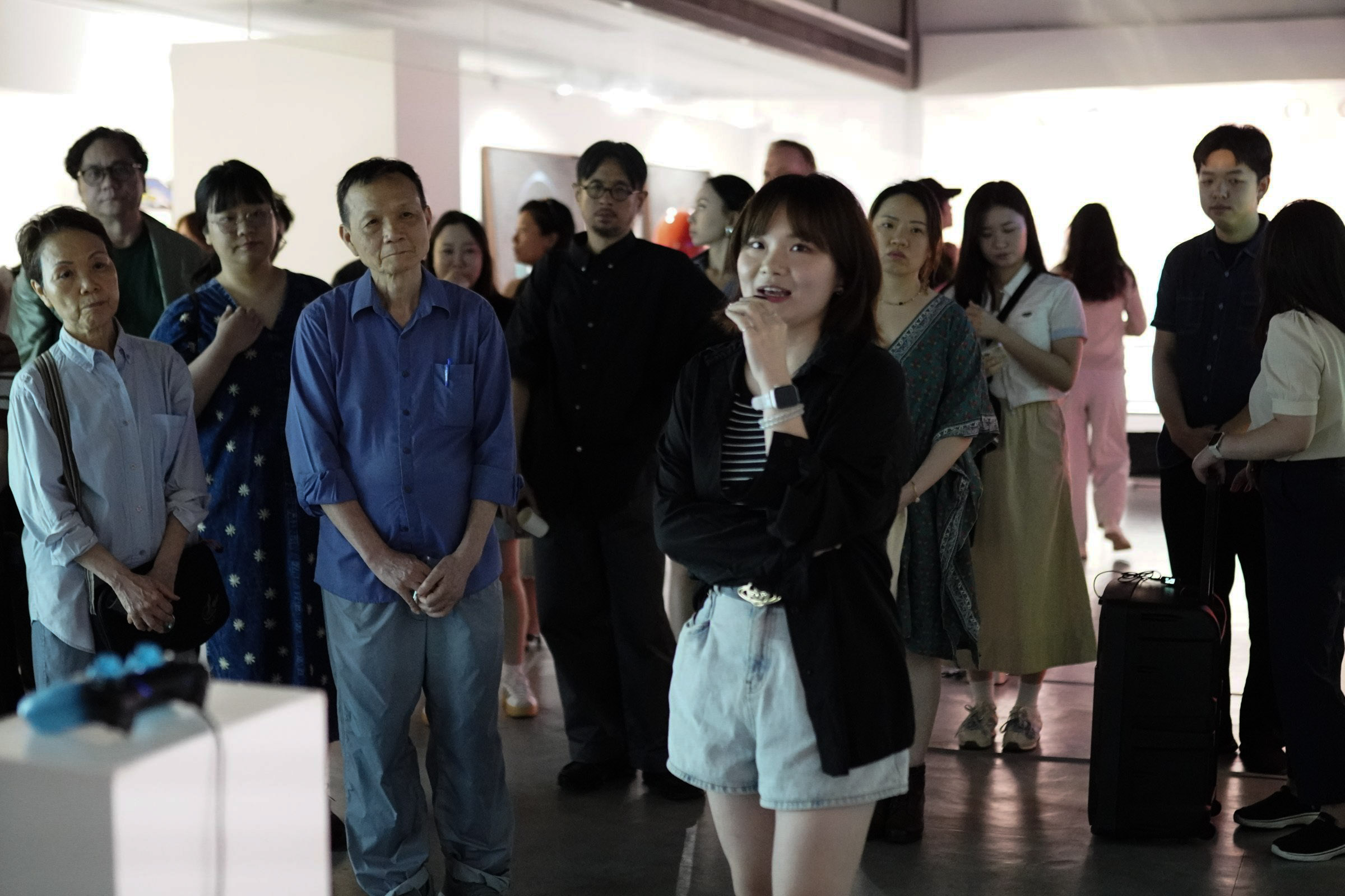 Curator Star Liu talk